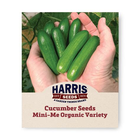 Harris Seeds 50 Mini-Me Organic Cucumber Plant Seeds, Non-GMO - Walmart.com
