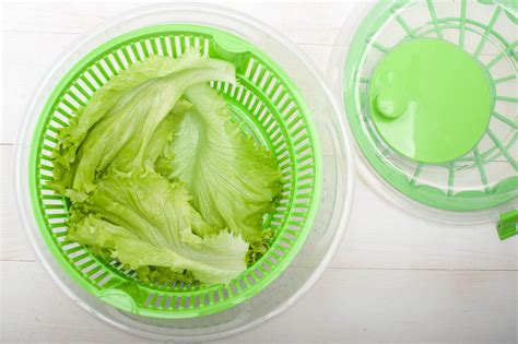 How to stop lettuce from spoiling - Rediscover Modern Homesteading
