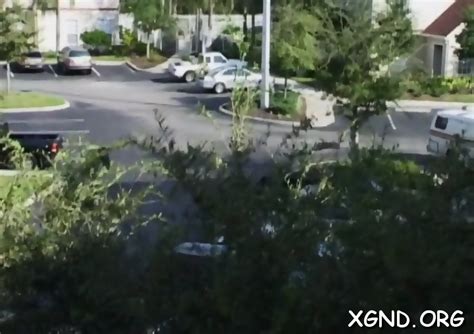 Appetizing Blonde Maiden Carina Exposes Her Curves