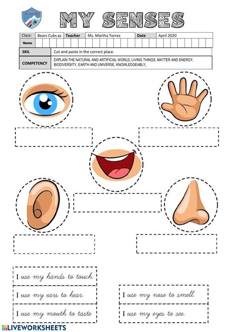 Les Parties Du Corps Humain Interactive Worksheet Live 54 Off