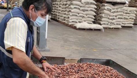 El Cacao Ecuatoriano Certificado Arribó A 40 Destinos En El 2021