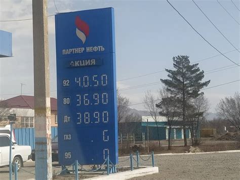 Активдүү жаран