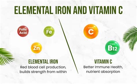 Himalayan Organics Chelated Iron With Vitamin C B Zinc Folic Acid