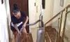 Culi In Fiamme Episode 1 Blowjob Blowjob Porn XHamster