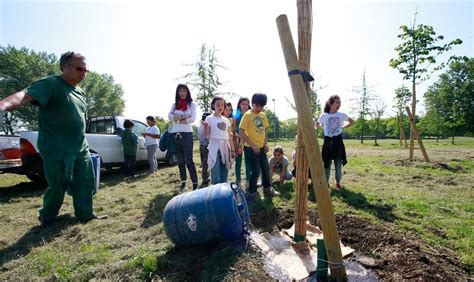 Si Pianta Un Albero Per Ogni Nuovo Nato Gazzetta Di Modena