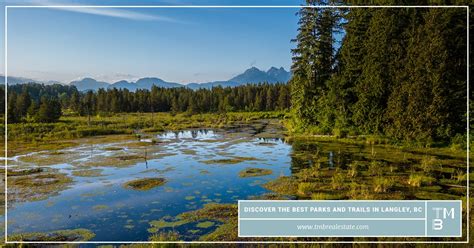 Discover the Best Parks and Trails in Langley, BC - 2023 Guide