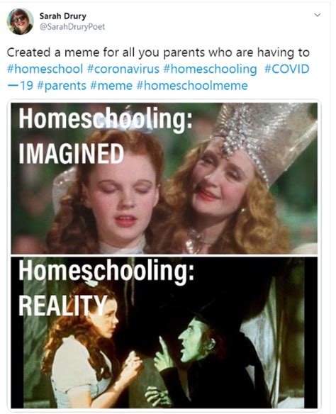 Homeschooling Memes