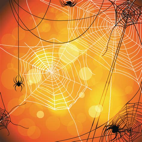 Spider Web Wallpapers - 4k, HD Spider Web Backgrounds on WallpaperBat