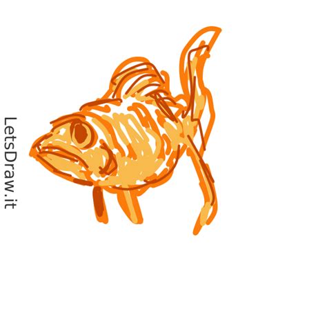 How To Draw Gold Fish Yapfc6zx3 Png LetsDrawIt