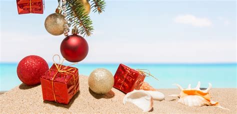 tropical christmas pictures