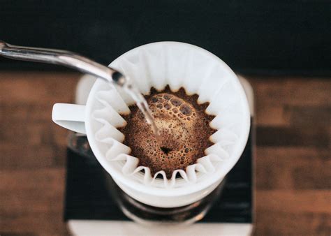 Coffee Culture Week brews in Shanghai | Dao Insights