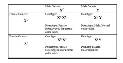 Normal Male Genotype