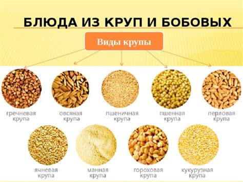 Блюда из круп, бобовых и макаронных изделий