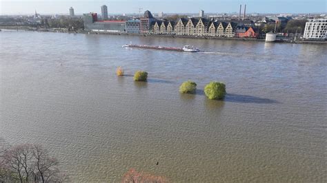 Schutzmaßnahmen gegen Hochwasser am Rhein | tagesschau.de