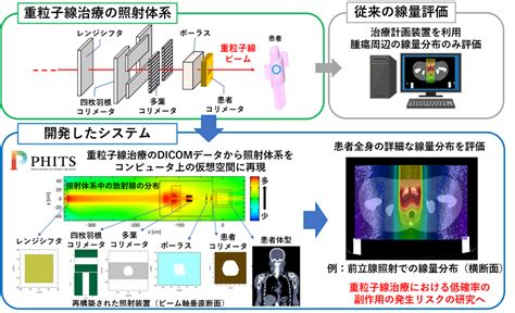 重粒子線治療の全身被ばく線量評価システムが完成 ―過去の重粒子線治療の症例から学び、未来の放射線治療に活かす―｜日本原子力研究開発機構：プレス発表