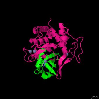 Ubiquitin protein ligase - Proteopedia, life in 3D