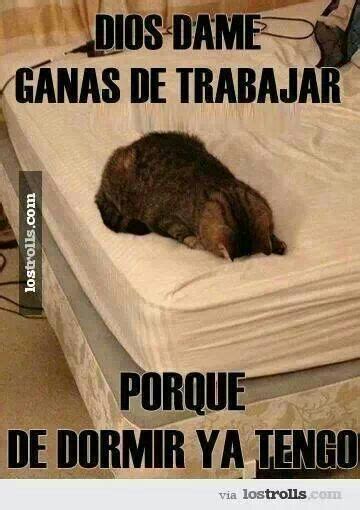 Ese Gato Lo Enseñe Yo Xd Meme Subido Por Eltrollero20 Memedroid