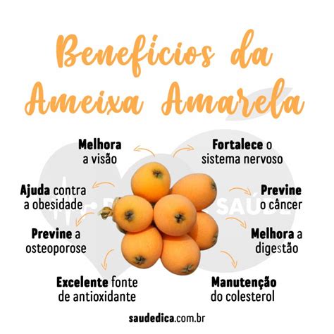 Ameixa Amarela Boa Para Vis O Ajuda Contra A Obesidade Veja Os Seus