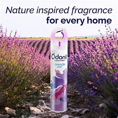 Buy Odonil Room Air Freshener Spray Lavender Mist Online At Best Price Of Rs 169 Bigbasket