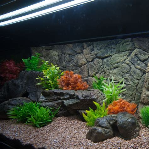 3d Aquarium Rückwand 160x60 cm verschiedene Modelle Terrarium FIF eBay