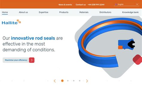 Hallite Seals International Ltd Hydraulic Seal