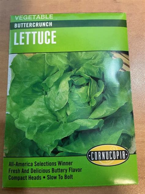 Co Buttercrunch Lettuce Kiwi Nurseries Ltd