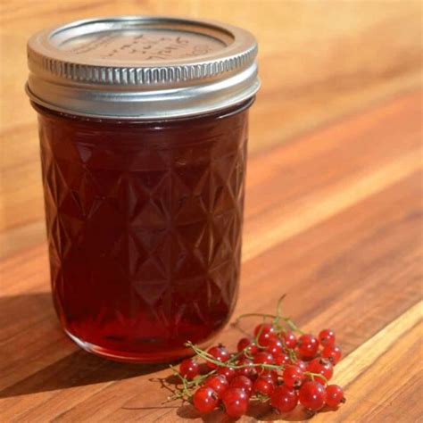 Currant Jelly Recipe 2 Ingredients No Added Pectin