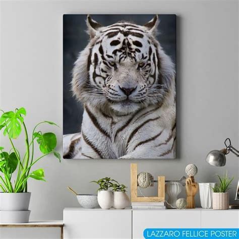 Jual Wall Decor Pajangan Hiasan Dinding Poster D Harimau Putih Cendana