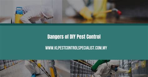 Dangers Of Diy Pest Control Updated 2024