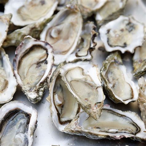 Terroirs d'Avenir - FrenchFood Capital