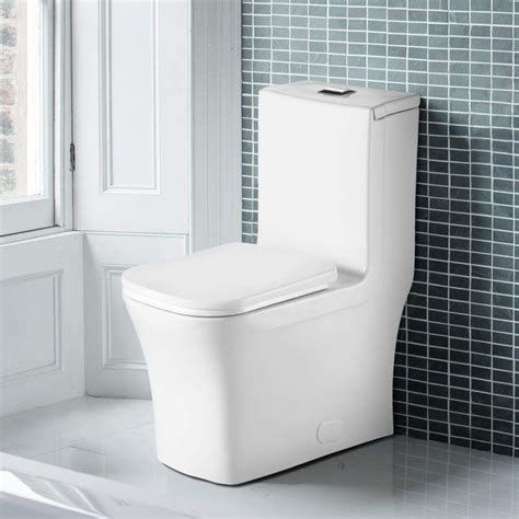 Fine Fixtures Dual-Flush Elongated One-Piece Toilet with High