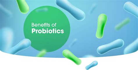 Benefits Of Probiotics For Good Gut Health Youguth Singapore