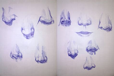 nose sketches by Millix3 on DeviantArt