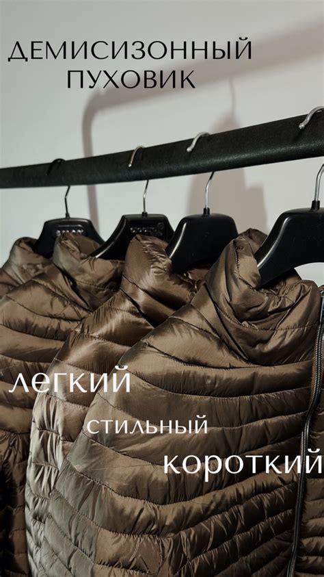 Куртка SALCO - купить с доставкой по выгодным ценам в интернет-магазине ...