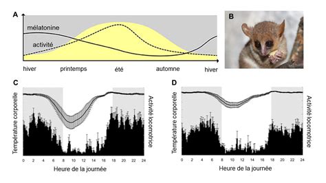 12 Les rythmes biologiques Écophysiologie évolutive