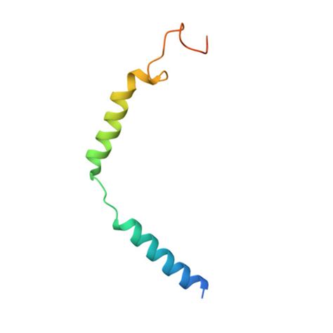 Rcsb Pdb 8irt Dopamine Receptor D3r Gi Rotigotine Complex