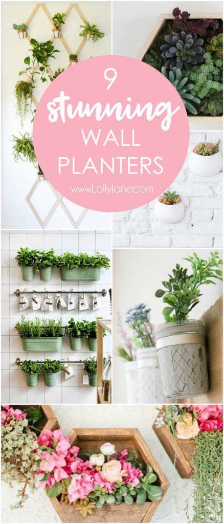 stunning wall planters artofit