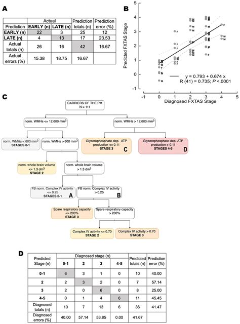 Artificial Neural Network Prediction Of Fxtas Stages The Ann Utilized Download Scientific