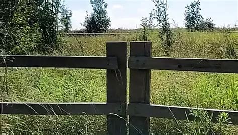 Lincs Slave Gay Porn Videos Sex Model Nudes XHamster