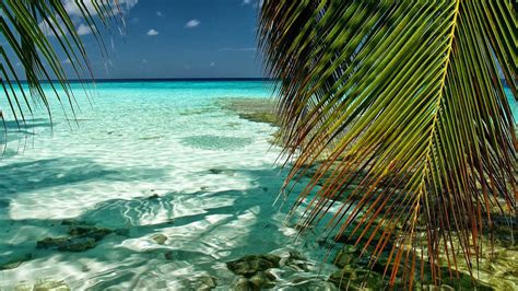 🔥 [130+] Maldives Wallpapers for Desktop | WallpaperSafari