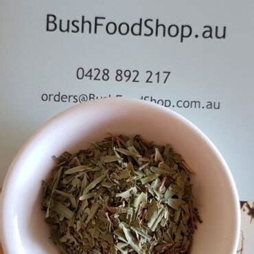 Lemon Scented Tea Tree Bush Food Bush Tucker Taste Australia Native