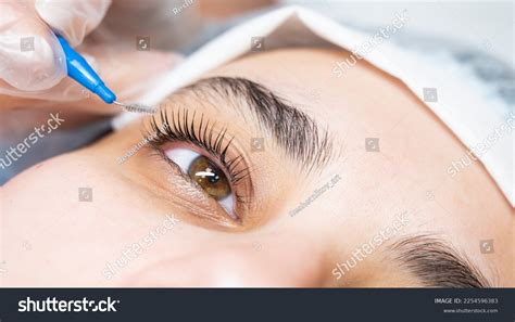 Whip Lash Over 1630 Royalty Free Licensable Stock Photos Shutterstock