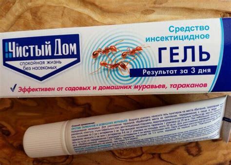 Муравьи: ловушки, отравы и прочие средства борьбы