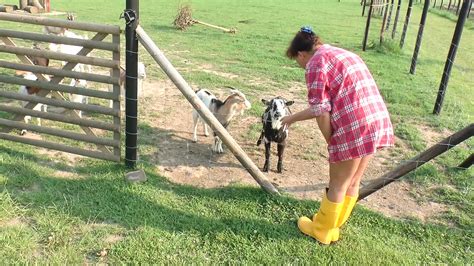 Farmer Porn Videos Xhamster