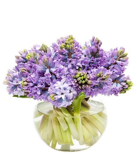 HYACINTH BOUQUETS Flowers By Flourish