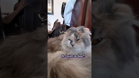 Malditang Classmate Pussy Version Tiktok Malditangclassmatechallenge YouTube