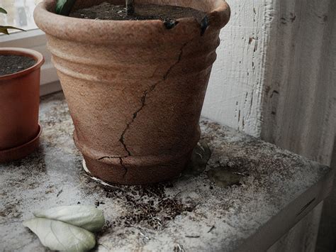 интерьер в скандинавском стиле on Behance