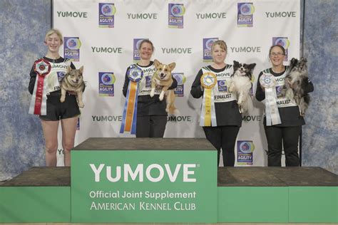 Meet the 2024 AKC National Agility Championship Winners