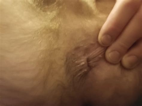 Spread Ass Gay Porn Pics Nude Men In Free Sex Photos XHamster