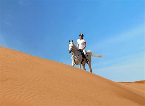 Desert Horse Riding Abu Dhabi Desert Horse Trekking